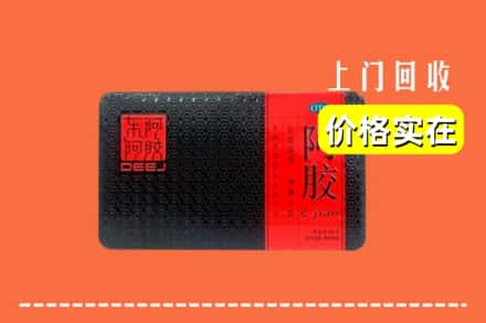 上海宝山区回收阿胶