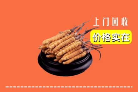 上海宝山区回收冬虫夏草