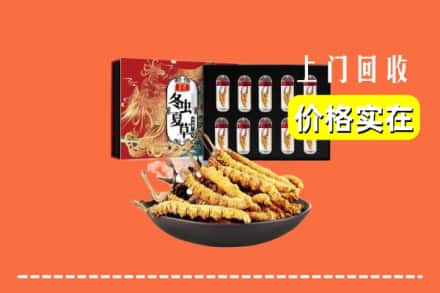 上海宝山区回收虫草