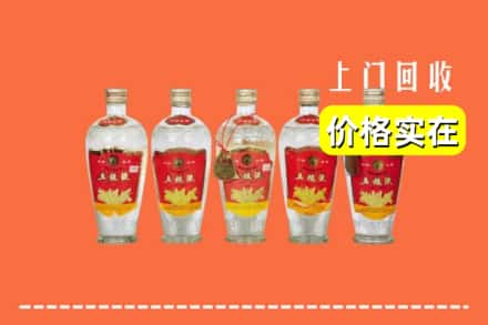 上海宝山区回收老五粮液